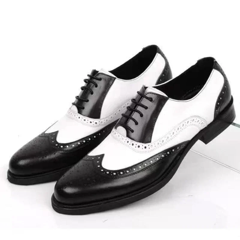 Oxford Brogue Leather - Colori misti Scarpe eleganti da uomo